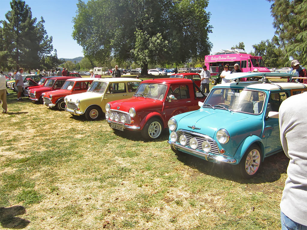 Lineup of Minis at the 2014 Queen's English British Car Meet.