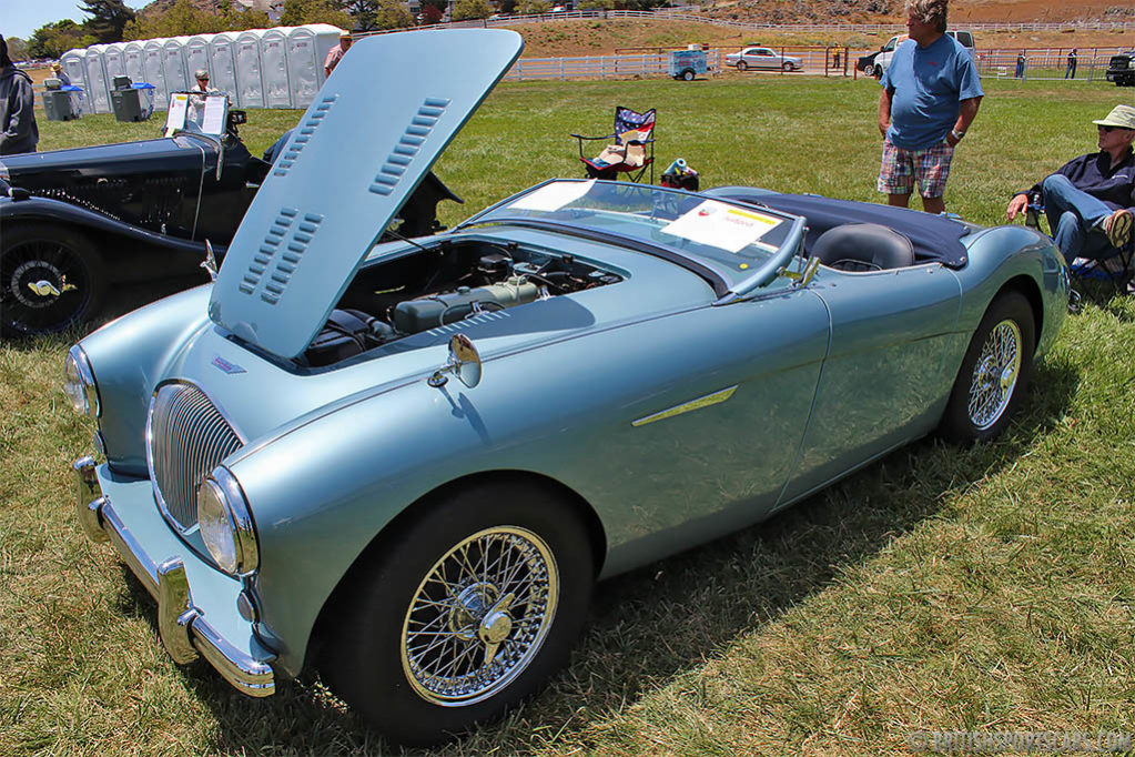 1955 Austin-Healey 100-4