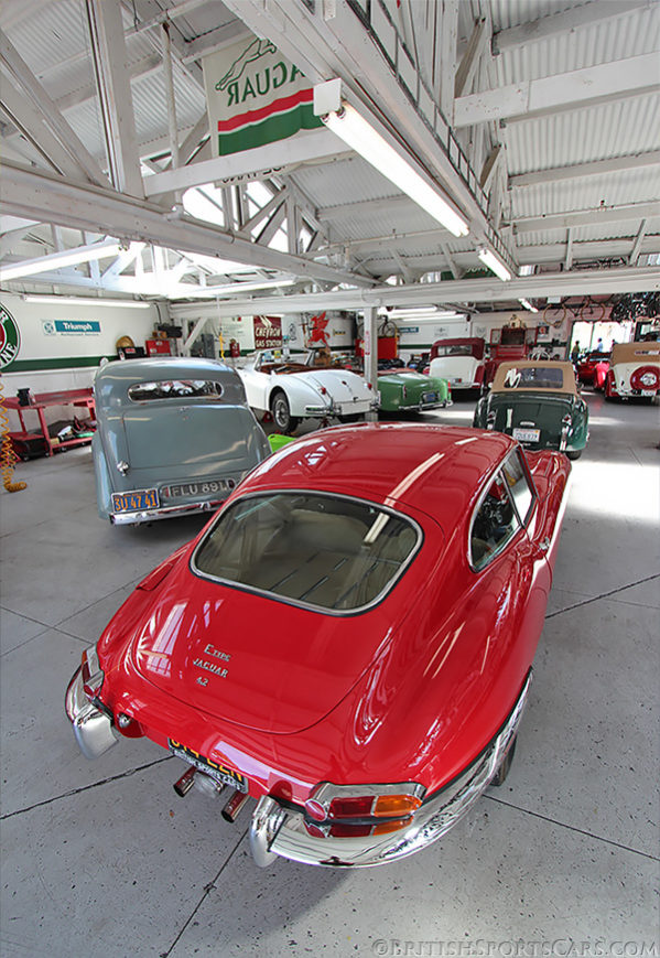 British Sports Cars filled with Jaguars!