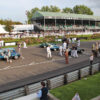D-types on the starting grid for the Lavant Cup