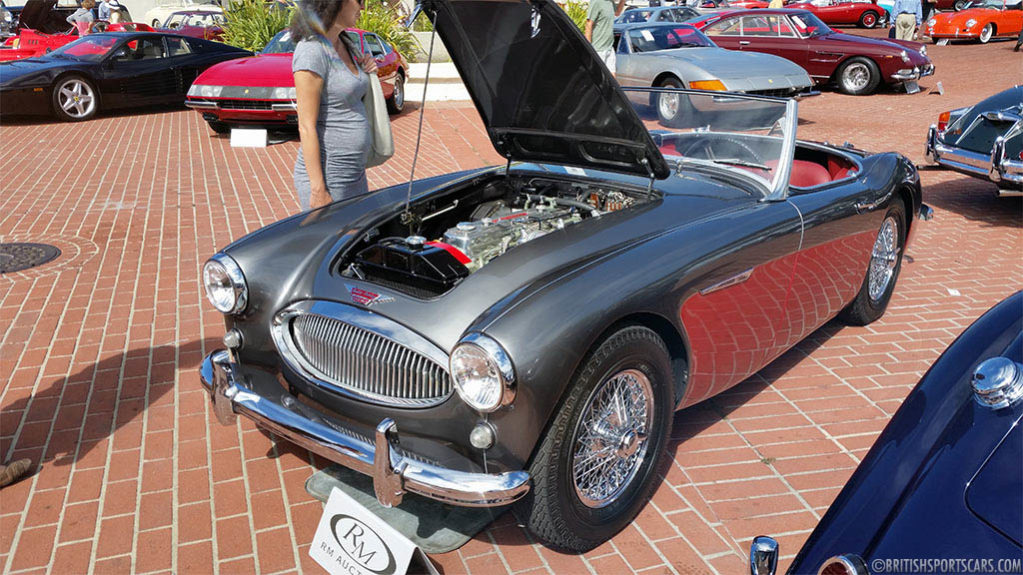 Austin-Healey