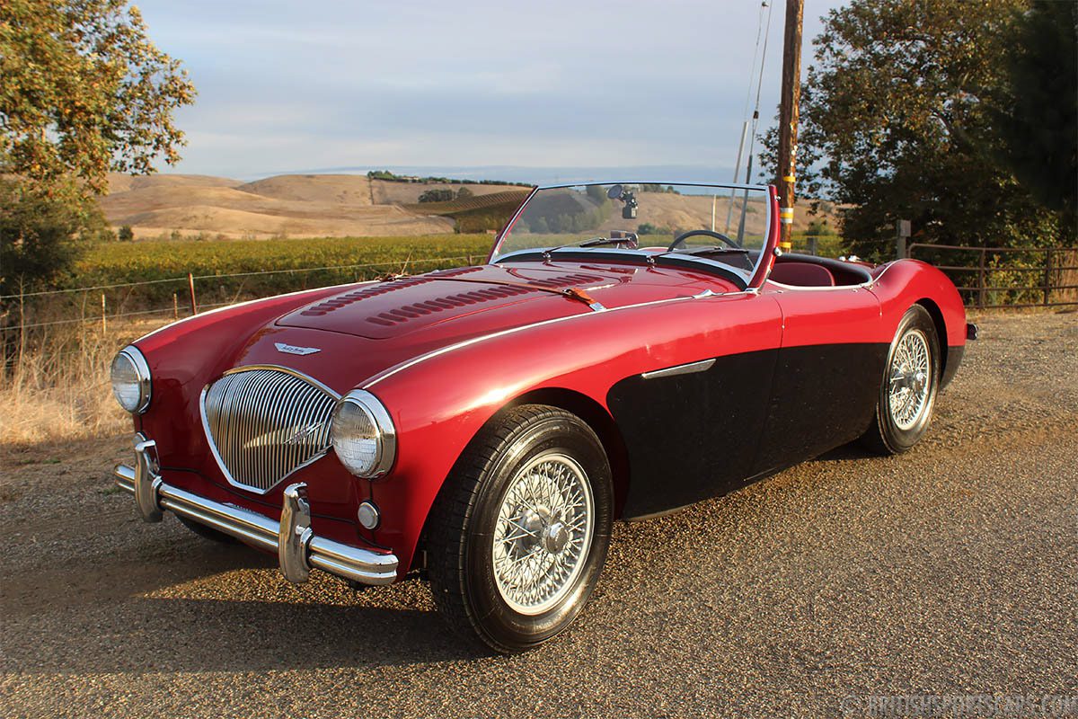 Austin-Healey 100M